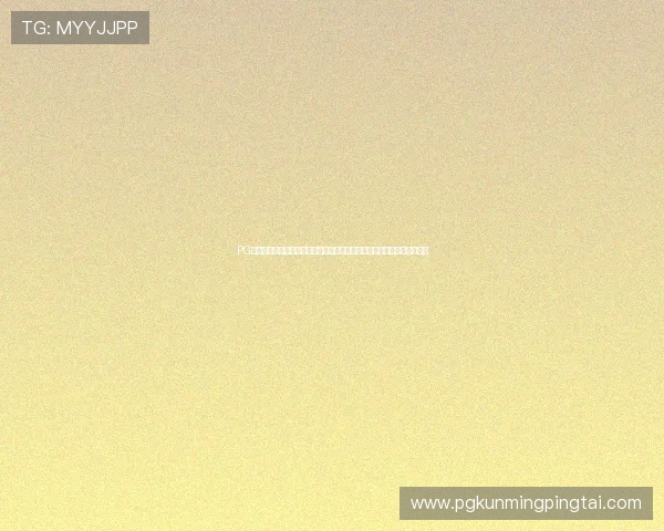 PG娱乐线上手机版多样化的支付方式,方便玩家快速存取资金享受游戏乐趣